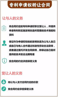 技術(shù)轉(zhuǎn)讓合同中的核心義務(wù) 從技術(shù)交付到市場推廣的權(quán)責(zé)解析